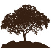 Parkstone Dental Clinic